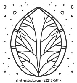 fondo de la hoja de doodle en blanco y negro abstracto