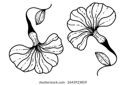 Abstract black and white flower hand drawing. flower pattern