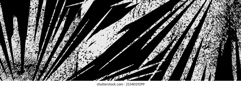Abstract black and white grunge background. Vector banner design