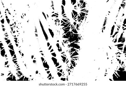 Abstrakter schwarz-weißer farbiger Texturhintergrund. Die kontrastreichen und stark schwarz-weißen Elemente schaffen ein grafisches, abstraktes Muster aus Kakteen