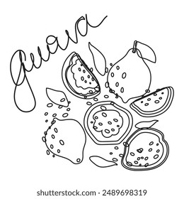 Abstract black and white guava symbol for guava  packaging and guava fruit brand logo template design. Guava vector outline illustration.