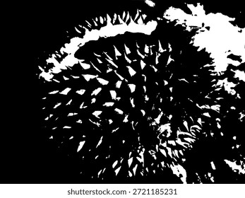 Ilustração em preto e branco abstrata de textura de fruta espinhosa afiada. Padrão grunge monocromático de alto contraste para design gráfico moderno, fundo industrial e arte criativa orgânica espinhosa