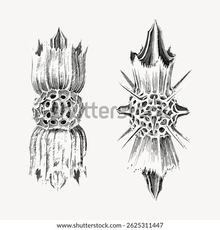 Abstract black and white illustration of two symmetrical, organic shapes resembling sea creatures or fossils, with intricate textures and spiky details. Vintage art illustration vector.