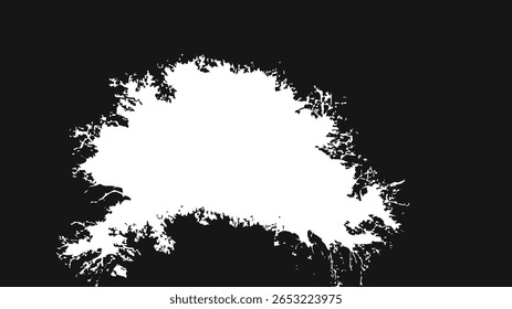 Abstract black and white ink splash frame vector illustration. Grunge border design perfect for backgrounds, posters, flyers, invitations, digital art, and creative projects with a bold, modern style.