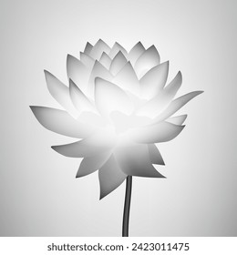 Abstract Black And White Lotus On Gray Background. EPS10 Vector