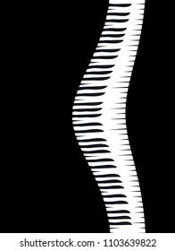 Abstract black and white piano keys set against a black background