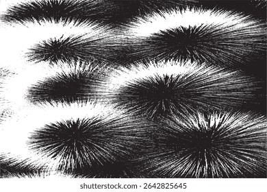 Abstract Black and White Spiky Burst Texture