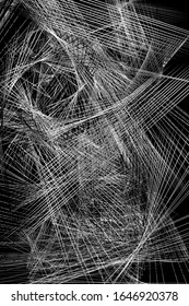 Abstract Black and White Striped Pattern. Discontinuous Lines Isolated on Black Background. Industrial Digital Spider Web. Vector. 3D Illustration