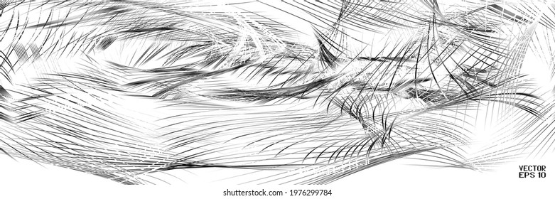 Abstract Black and White Striped Pattern. Discontinuous Lines Isolated on White Background. Spiderweb. Vector. 3D Illustration