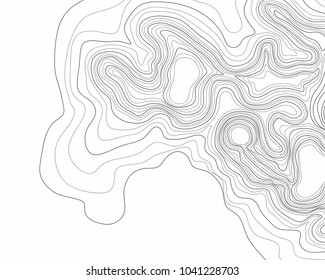 Topographic Wood Pattern Black White Stock Vector (Royalty Free) 1788138371