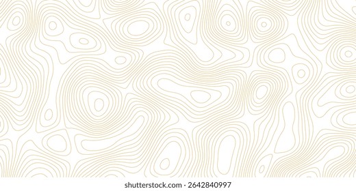 Resumo preto e branco contornos topográficos linhas de montanhas. Desenho de curva da arte do mapa de topografia