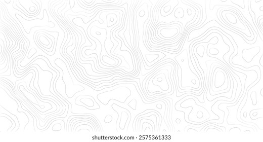 Abstract Black and White Topographical Pattern An artistic representation of topographic features in a black and white palette, 