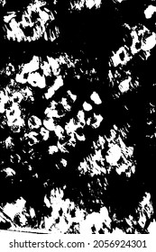 Abstract black and white vector background. Dry brush strokes template