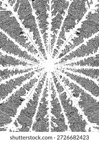 Abstractas Ilustración vectorial en blanco y negro con un patrón radial orgánico afligido que se asemeja a intrincadas venas de las hojas o una estructura de Fractal