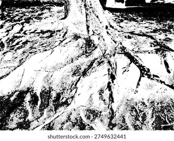 Abstract black and white vector illustration of old tree roots on a beach. Gritty stencil style coastal wood texture. Rustic organic silhouette for nature background and graphic design.