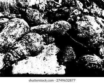 Abstract black and white vector illustration of taro roots (Colocasia esculenta). Gritty stencil style tropical tuber texture. Rustic organic silhouette for agriculture and food graphic design.