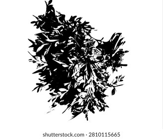 Abstract black and white vector illustration of Cosmos caudatus leaves, known as daun kenikir, isolated on white background. High contrast grunge stencil pattern for organic print design.