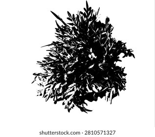 Abstract black and white vector illustration of Cosmos caudatus leaves, known as daun kenikir, isolated on white background. High contrast grunge stencil pattern for organic print design.