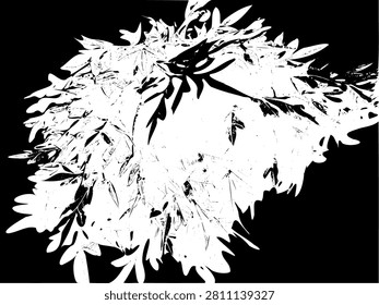 Abstract black and white vector illustration of Cosmos caudatus leaves, known as daun kenikir, isolated on black background. High contrast grunge stencil pattern for organic print design.