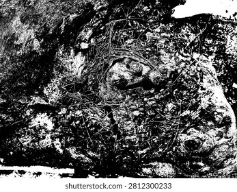 Abstract black and white vector illustration of old tree bark texture. High contrast grunge stencil pattern of rough tree node, cracks, and organic wood fiber for clothing design.