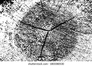 Resumen vectorial blanco y negro texturado alrededor de círculos de madera craqueados. Textura de la superficie de madera para la decoración de diseño de pancartas, papel tapiz de ilustración forestal