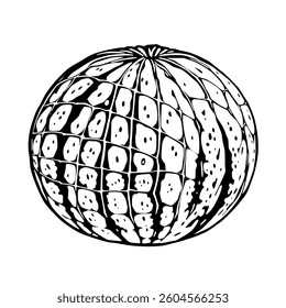 Abstract Black And White Watermelon Illustration