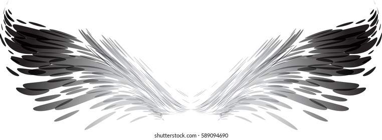 Abstract black and white wings