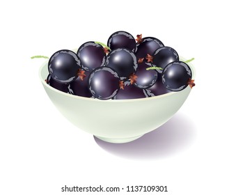 Abstract Blackcurrant on white background isolated