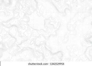 Abstract Blank Detailed Topographic Contour Map Subtle White Vector Background