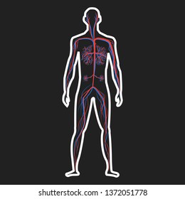 Abstract blood circulation system of human on dark background vector illustration