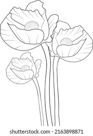 abstract blossom poppy flower coloring pages and books