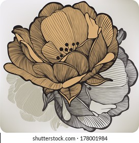 Abstract blossoming flower. Vector illustration.