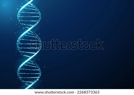 Abstract blue 3d DNA molecule helix. Gene editing, genetic biotechnology and engineering concept. Low poly style design. Geometric background. Wireframe light graphic connection structure.  Vector