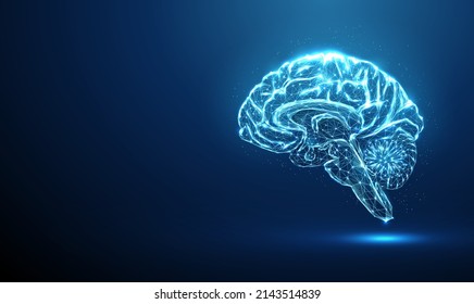 Abstract blue brain. Brain anatomy. Scheme of parts of human brain. Low poly style design. Geometric background. Wireframe light connection structure. Modern 3d graphic concept. Vector illustration