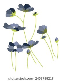 Abstract blue cosmos flowers on twigs in flat design. Blooming daisies. Vector illustration isolated.