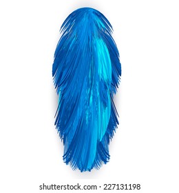 Abstract blue feather on the white background