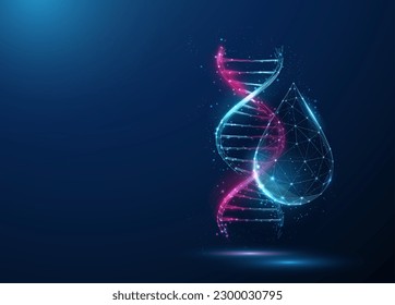 Resumen de molécula de ADN azul y púrpura helix y gota de agua. Concepto de ingeniería genética en biotecnología. Diseño de bajo estilo polaco. Fondo geométrico. Estructura de conexión gráfica de alambre. Vector