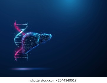 Hélice de molécula de ADN azul y púrpura Abstractas e hígado humano. Concepto de ingeniería de biotecnología genética. Tecnología futurista de baja poli estilo digital Fondo geométrico. Estructura de alambre. Vector.