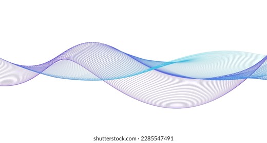 Abstract blue and purple lines on white background. Vector illustration. Banner, poster waves design.