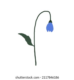 Abstract blue wildflower isolated on white background. Wild flower floral botanical plant. Meadow and field herb. Delicate spring flower illustration in hand drawn flat style 
