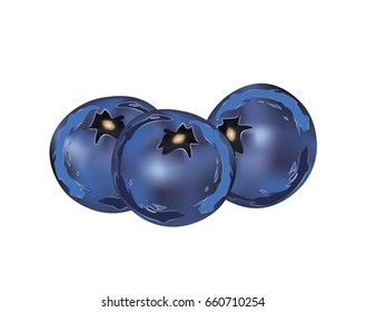 Abstract blueberries isolated