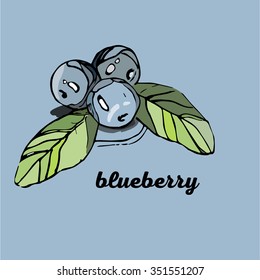 abstract blueberry
