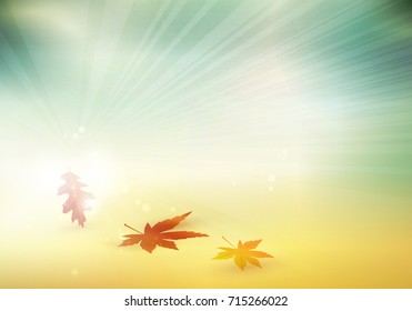 Abstract blur background in autumn colors reds, yellows and oranges with a faint light burst, light effects and colorful fall leaves.