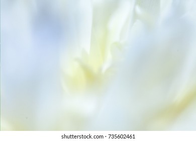 Abstract blurred background with bokeh effect. Spring, nature, overcast. 
