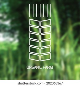 Abstract blurred background. Organic farm. Symbol ear.