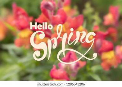 Abstract blurred defocused spring background with beautiful red flowers. Vector illustration.