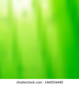 abstract blurred green background for your design and printing