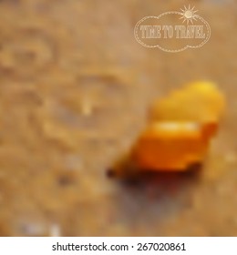 abstract blurred nature background with shell in water. Web and mobile interface template. Travel and recreation design, vector illustration.