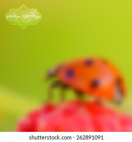 abstract blurred nature background. Web and mobile interface template. Easter and spring background, vector illustration.
