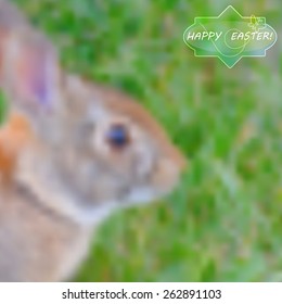 abstract blurred nature background. Web and mobile interface template. Easter and spring background, vector illustration.